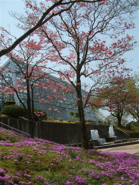 三条市保内公園・前庭