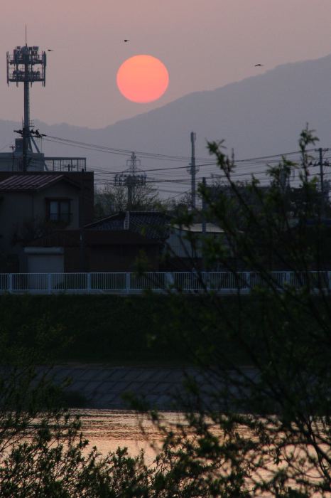 弥彦山の稜線に沈みゆく夕日を燕市南町から中ノ口川越しに