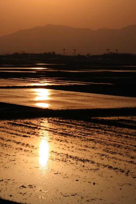 三条市・井戸場で夕日に染まった空や水の張られた水田