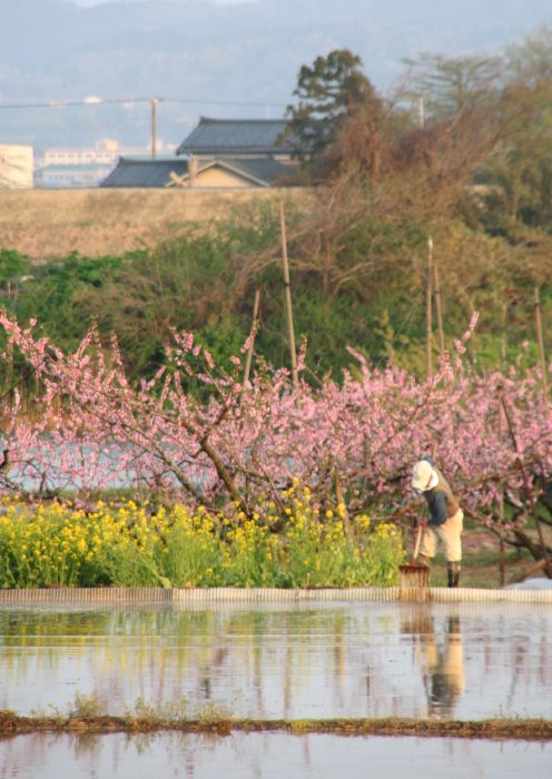 三条市・