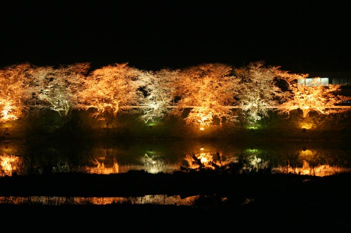 燕消防署前の中ノ口川左岸