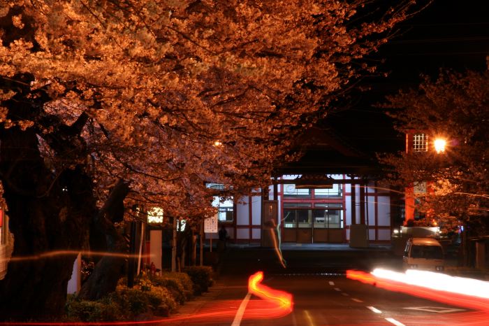 JR弥彦駅前の停車場通り