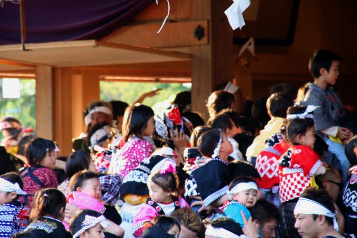 三条市・八幡宮の舞い込み