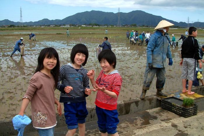 燕市吉田ふれあい広場前の田んぼで燕新保地区田んぼアートの田植え