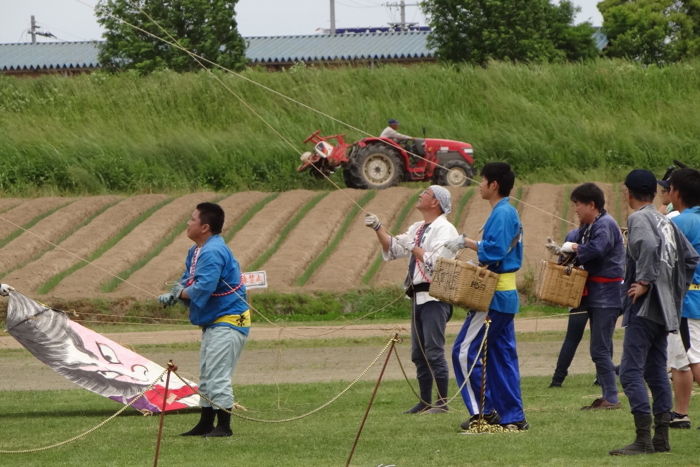 三条凧合戦1日目