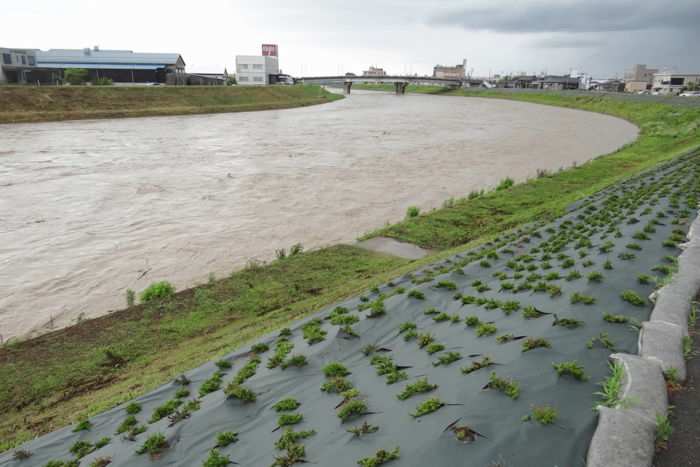 ３一新橋下流