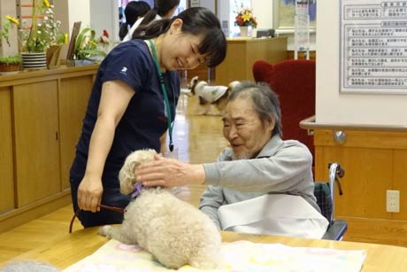 坂田動物病院が特別養護老人ホームで 白ふじの里 で動物のぬくもりや優しさにふれてもらうアニマルセラピー