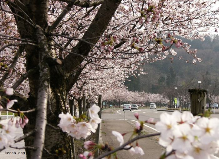 三条市総合運動公園