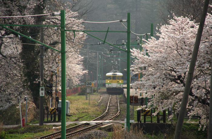 弥彦・弥彦駅に停車する電車