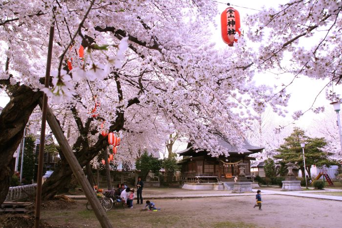 燕・金山神社