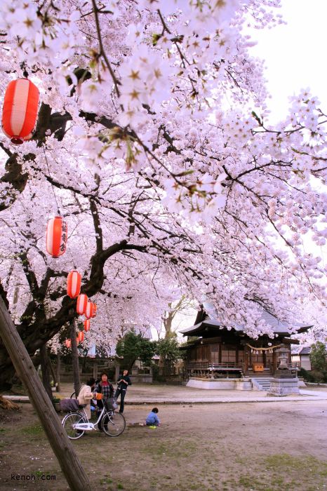 燕・金山神社