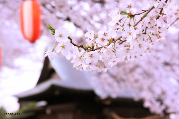 燕・金山神社