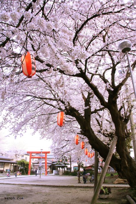 燕・金山神社