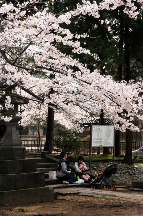 三条市・本成寺