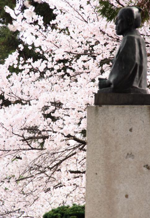 三条市・日吉神社