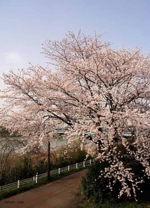 燕市・南1地内