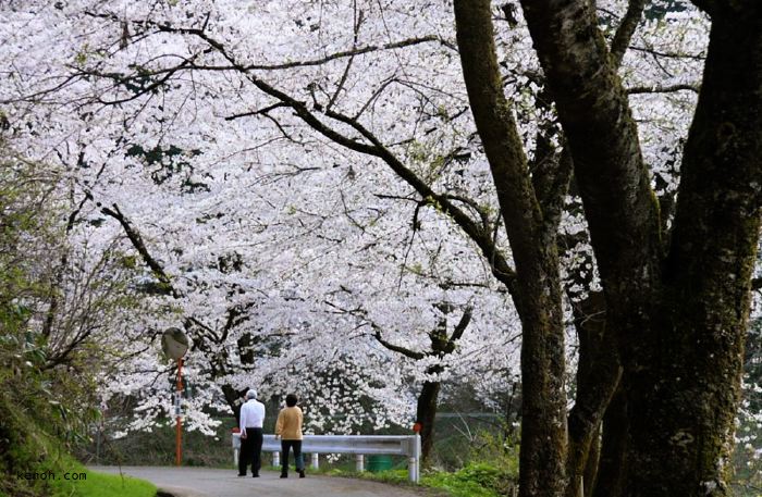 加茂・下条川ダム