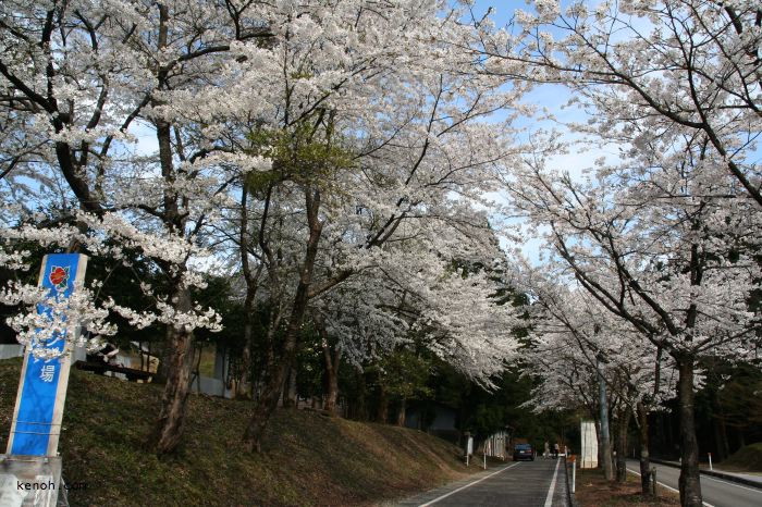 加茂・粟ケ岳県民休養地