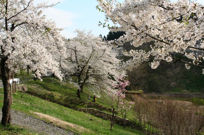 加茂・下条川ダム