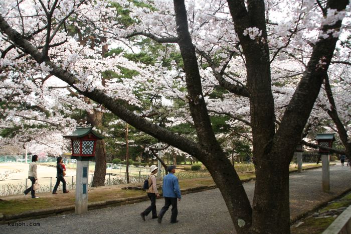 弥彦・弥彦公園入口