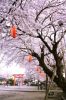 燕・金山神社