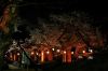 三条市・八幡公園の夜桜