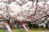 三条市・日吉神社