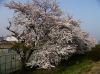 県立三条商業高等学校