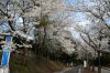 加茂・粟ケ岳県民休養地