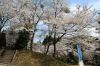 加茂・粟ケ岳県民休養地