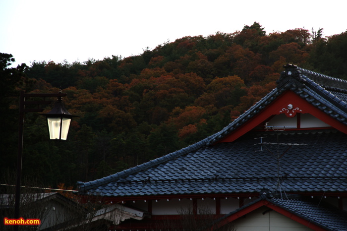 弥彦駅舎とその背景を彩る紅葉