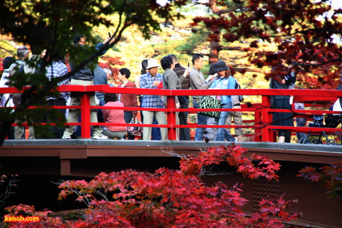 弥彦・弥彦公園もみじ谷の紅葉