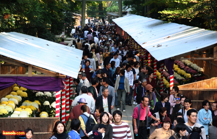 弥彦神社拝殿へ向かう参拝客