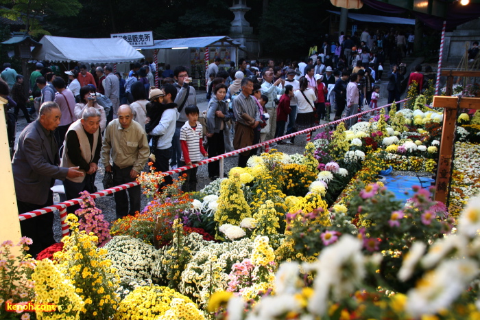 弥彦・弥彦神社札所前の大風景花壇「上高地」