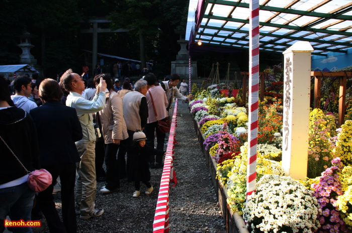 弥彦神社札所前の大風景花壇「上高地」