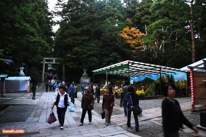 11月1日からの菊まつりを前にキクの搬入が始まった弥彦神社