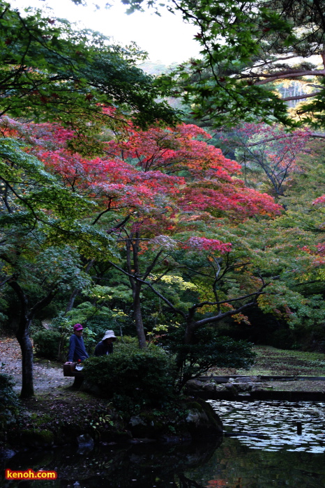 もみじ谷の紅葉