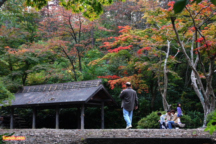 色づき始めたもみじ谷の紅葉