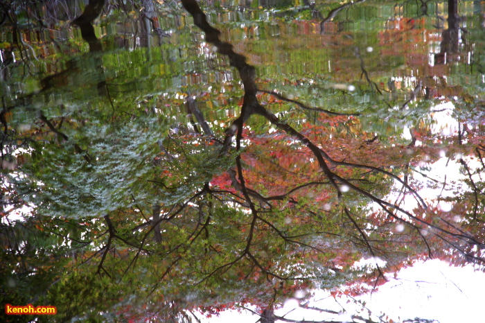 池の水面に映る紅葉