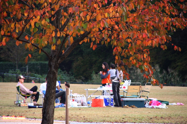 三条市槻の森運動公園