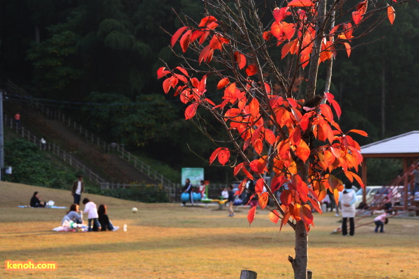 三条市槻の森運動公園