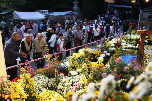 弥彦・弥彦神社札所前の大風景花壇「上高地」