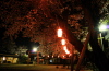 ソメイヨシノ（燕市・金山神社の夜桜）