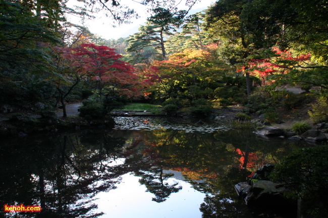 弥彦公園もみじ谷