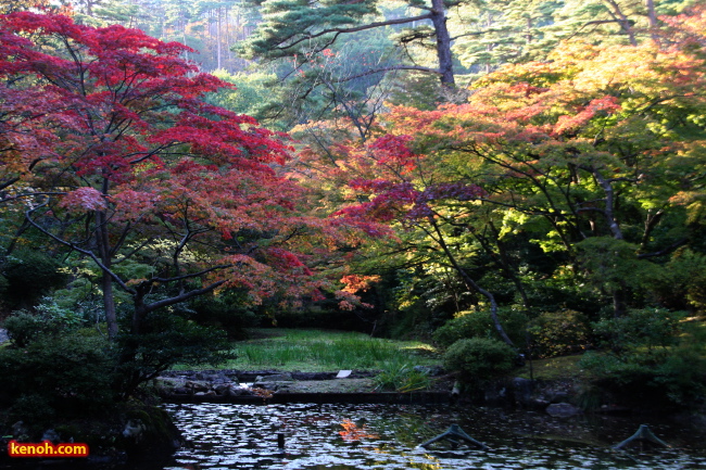 弥彦公園もみじ谷