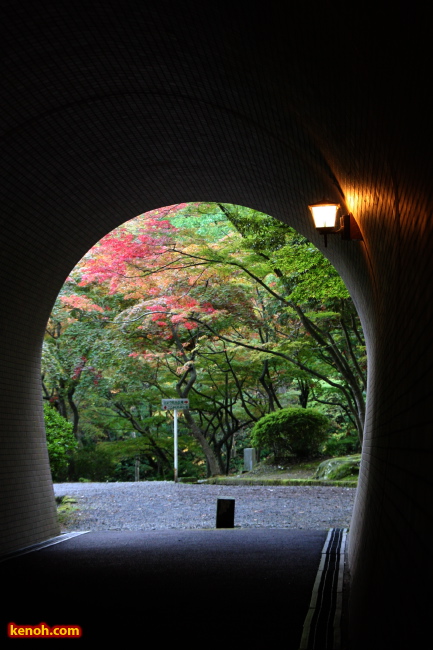 弥彦公園トンネル