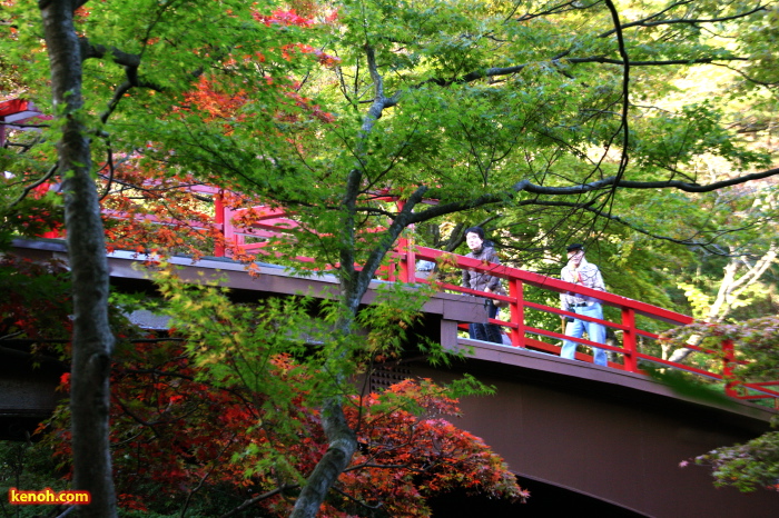 弥彦公園もみじ谷