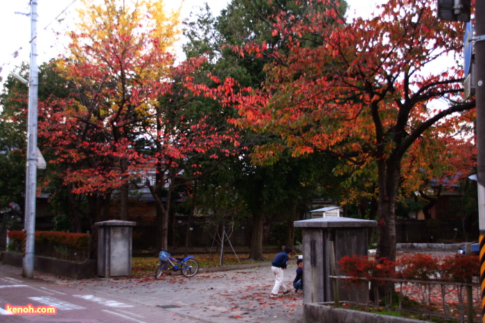 三条小学校の紅葉