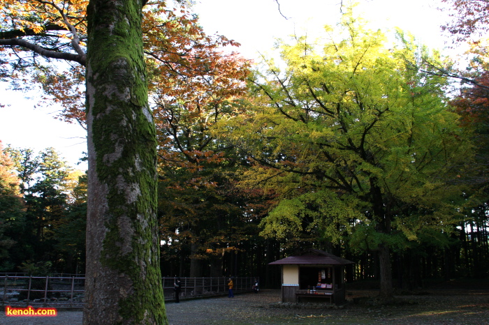 弥彦公園・鹿苑