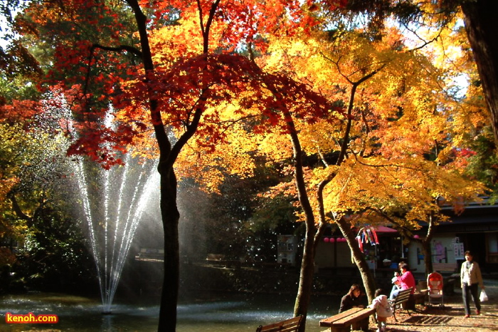 加茂山公園・神池から東屋付近